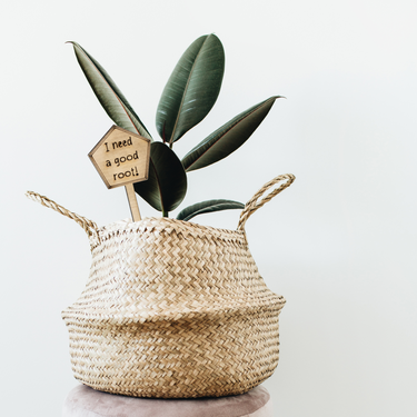 I need a good root - Unicorn Fart Productions